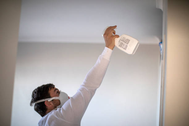 Best Residential Mold Removal  in Hastings, PA