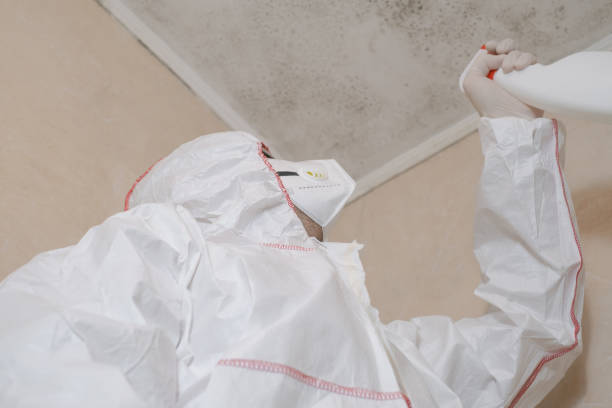Best Best Mold Removal Companies  in Hastings, PA