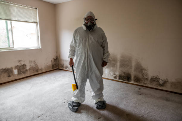 Trusted Hastings, PA Mold Removal Experts