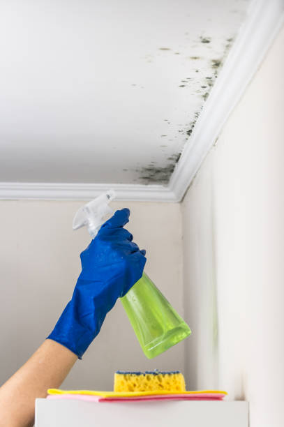 Best Mold Testing  in Hastings, PA